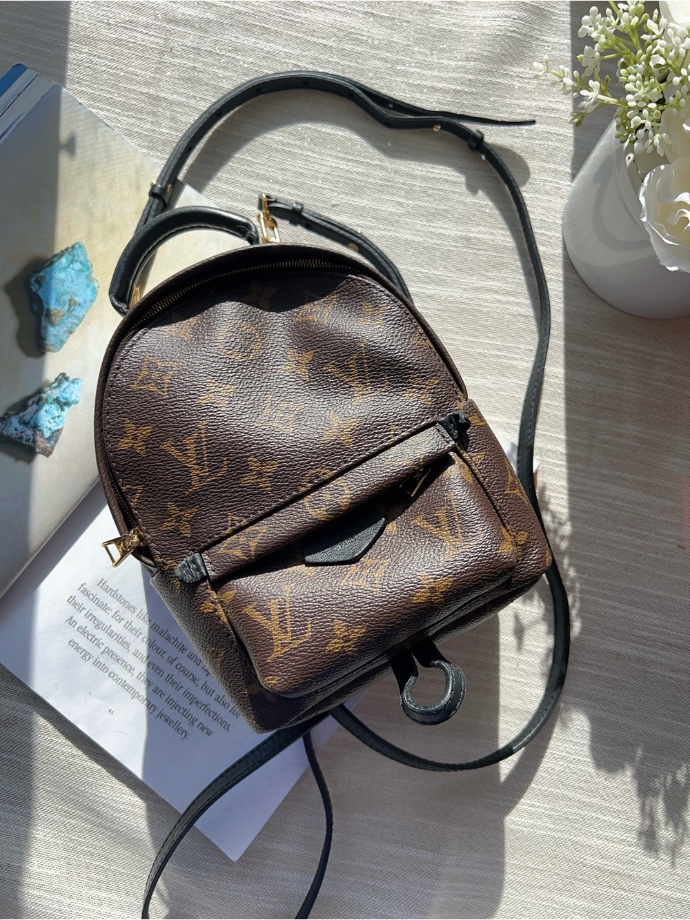 Louis Vuitton Monogram Palm Springs Mini
